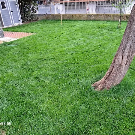 La Casetta Al Mare Di Bubi 아파트 아비솔라 수페리오레